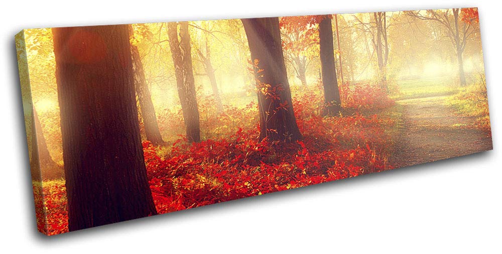 Amazon.co.jp: Bold Bloc Design - 紅葉 秋 森の風景 120x40cm